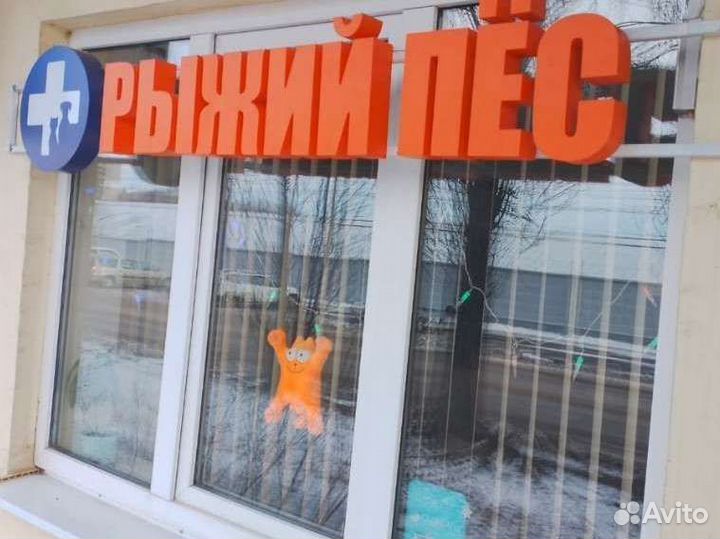 Ветеринарный врач на дом