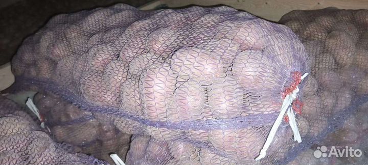 Продам картофель с доставкой