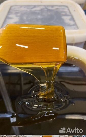 Гречишный мед свежий