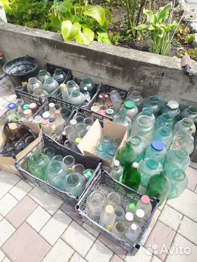 Банки стеклянные бесплатно