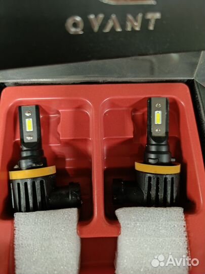 Светодиодные лампы optima qvant H11