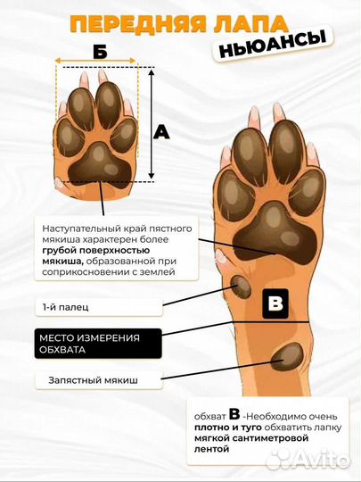 Зимняя обувь для маленькой собаки
