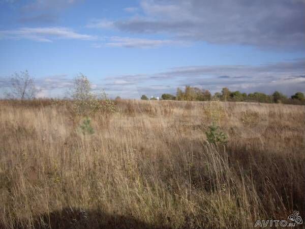 Участок 6 га (СНТ, ДНП)