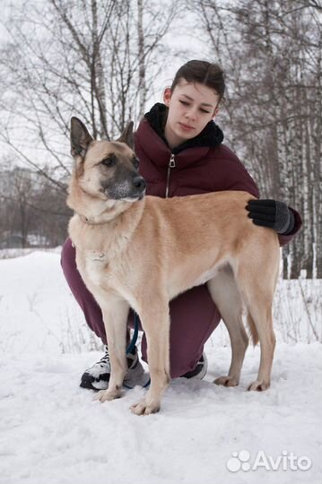 Подарите дом трепетной Аннабель