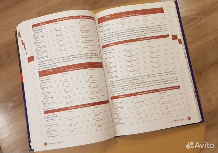 Чешский язык. Самоучитель. Беляева С. В