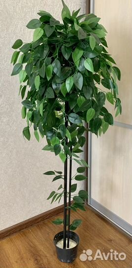Дерево, искусственный цветок в горшке: фикус манго