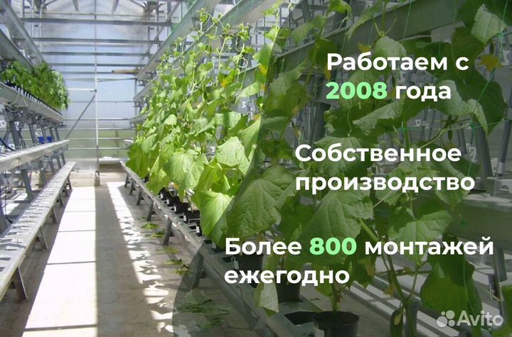 Теплица цинк 3х8 усиленная