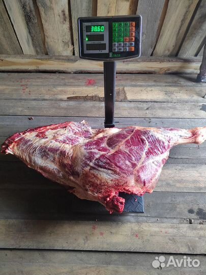 Продам мясо