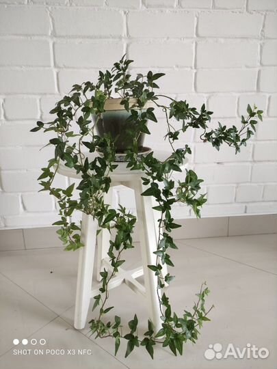 Столик IKEA подставка для цветов