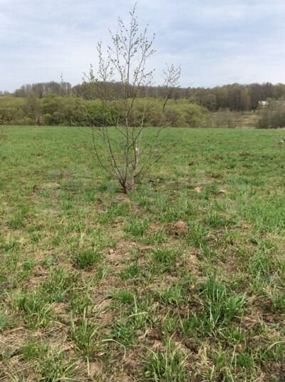 Участок 15 га (ИЖС)