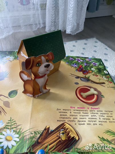 Книга-панорама