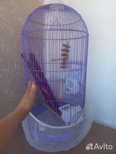 Клетка для попугаев