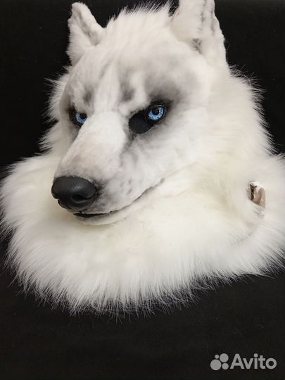 Фурсьют волка