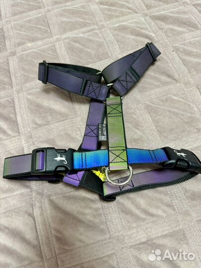 Амуниция для собак