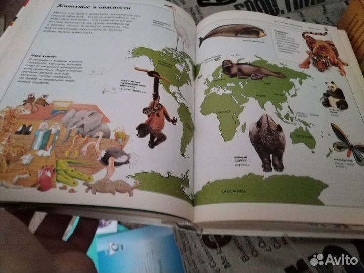 Книги для детей