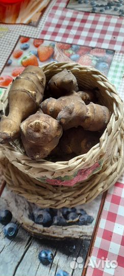 Топинамбур клубни