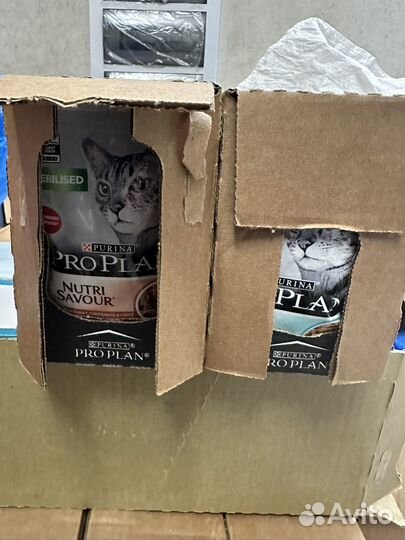 Кошачий корм Purina Pro Plan