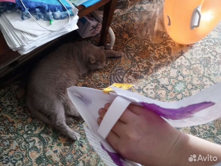 Дракон на руку