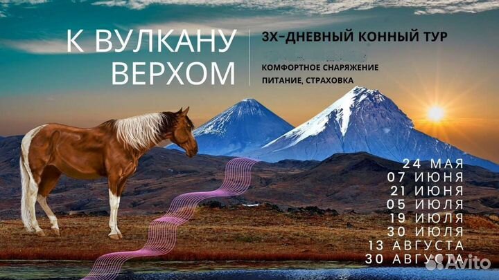 Конные прогулки