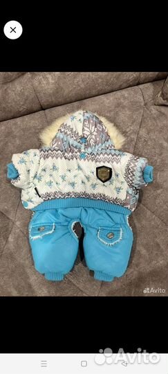 Одежда для собак мелких пород