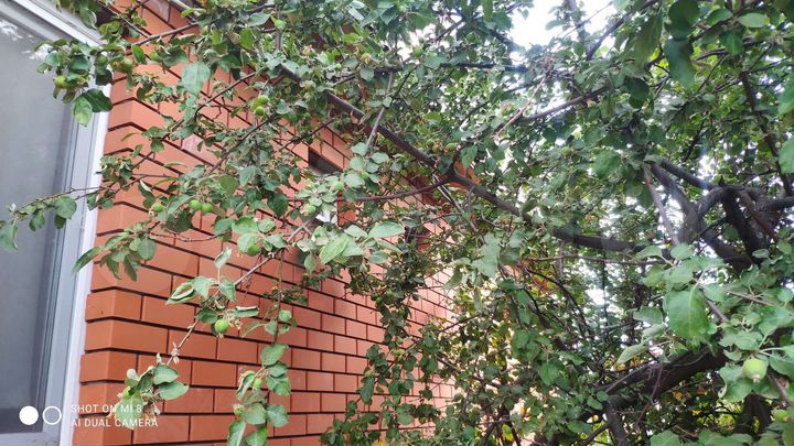 Дом 100 м² на участке 9 сот.