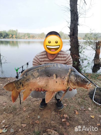 Пьяная кукуруза