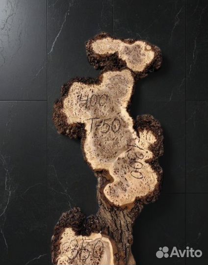 Слэб карагач