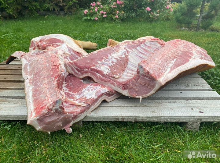 Свинина. Полутуши. Четвертинки. Целый поросенок
