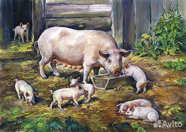 Репродукции картин А2: домашние животные (11 шт)