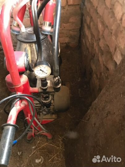 Доильный аппарат для коров б/у