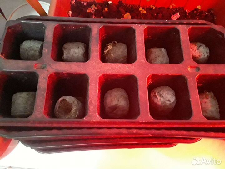 Ящики для рассады