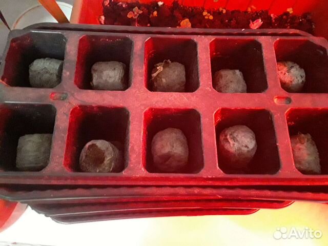 Ящики для рассады