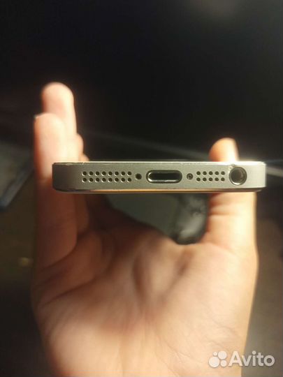 iPhone 5