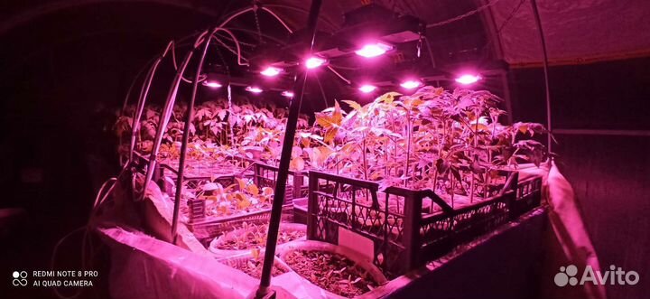 Фитолампа 200 Вт(full spectrum) аналог Днат 400 Вт