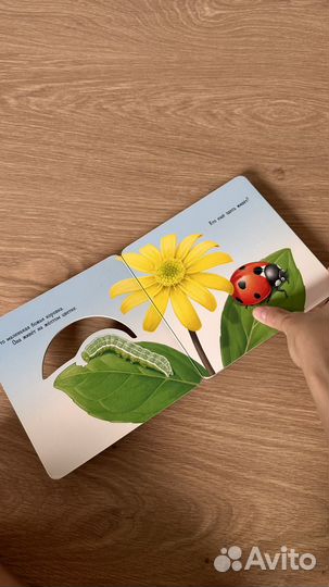 Книга Божья коровка изд Лабиринт