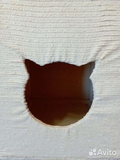 Кошачий домик