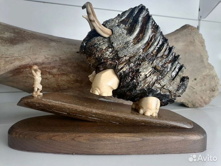 Зуб мамонта