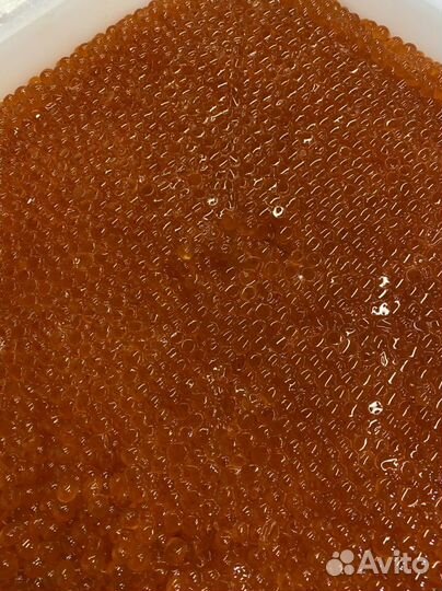 Красная икра оптом