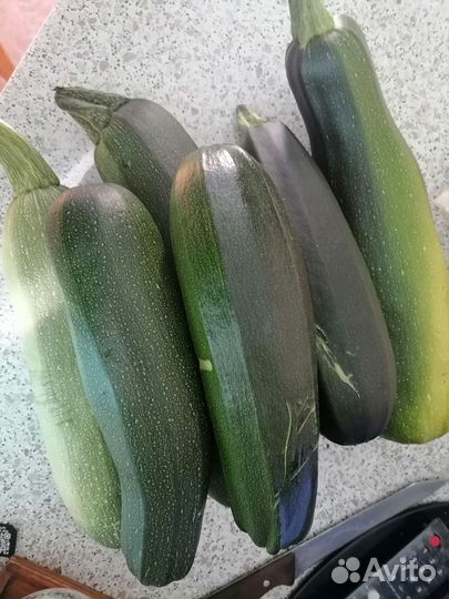 Цукини