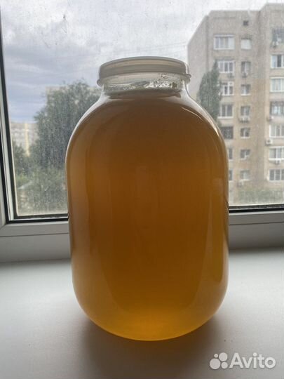 Мед липовый башкирский