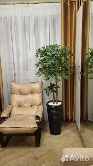 Шефлера искусственное дерево