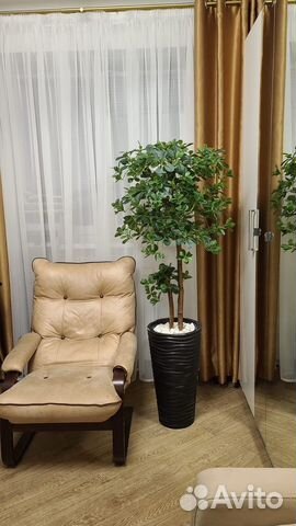 Шефлера искусственное дерево