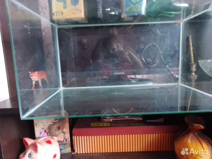 Аквариум и компрессор рабочие