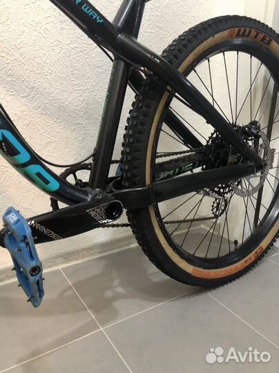 Dartmoor hornet 2019