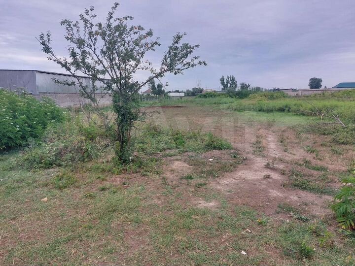 Участок 25 сот. (СНТ, ДНП)