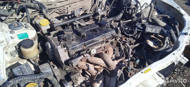 Двигатель QR25 Nissan Primera P12 2.5