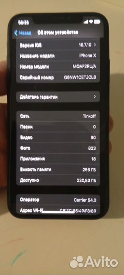 iPhone X, 256 ГБ