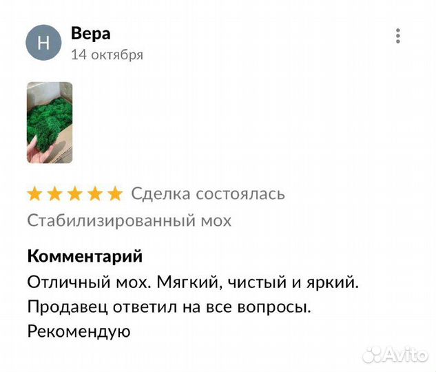Фитостена из мха на кухню