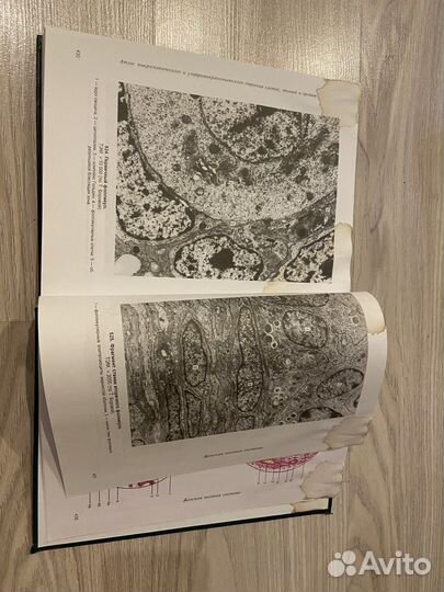 Атлас микроскопического строения