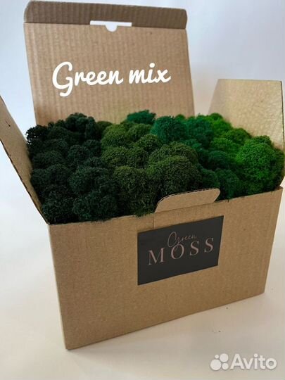 Стабилизированный мох ягель